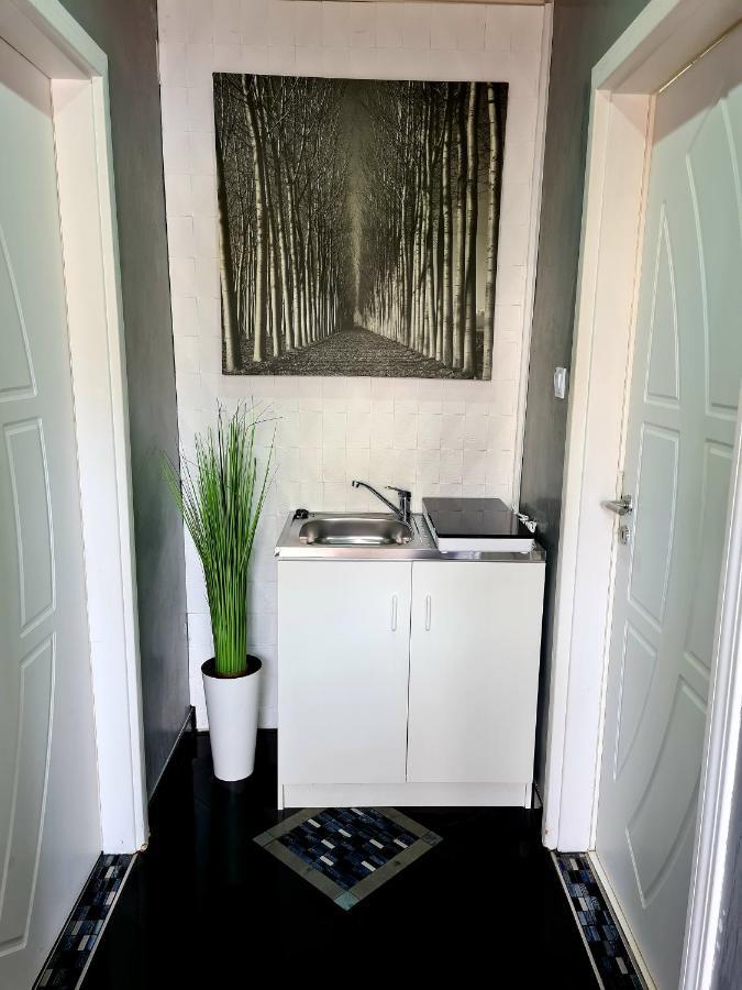Airport Luxury Apartman 42 Vecsés Εξωτερικό φωτογραφία